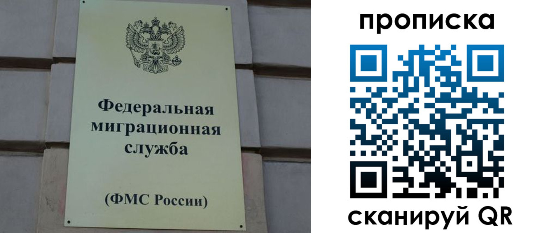 прописка поиск в Электростали
